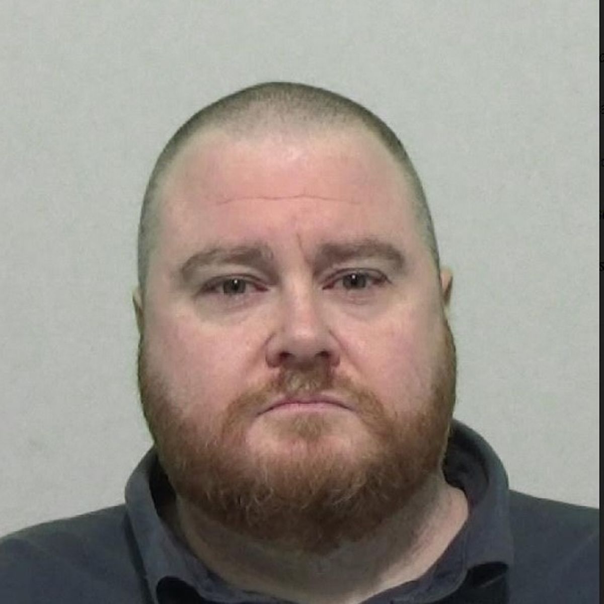 James McGuires photo