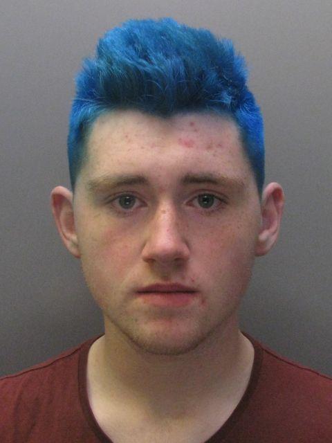 Bradley Halls photo