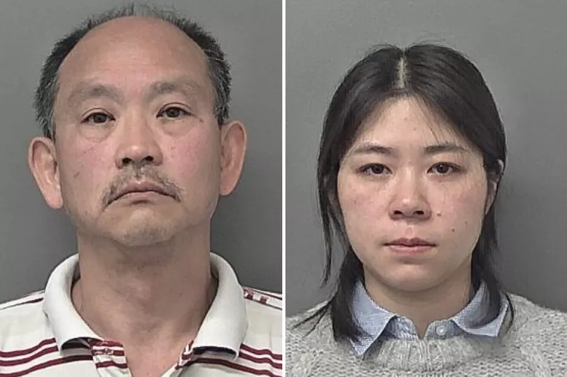 Ken Chik, Tracy Chois photo