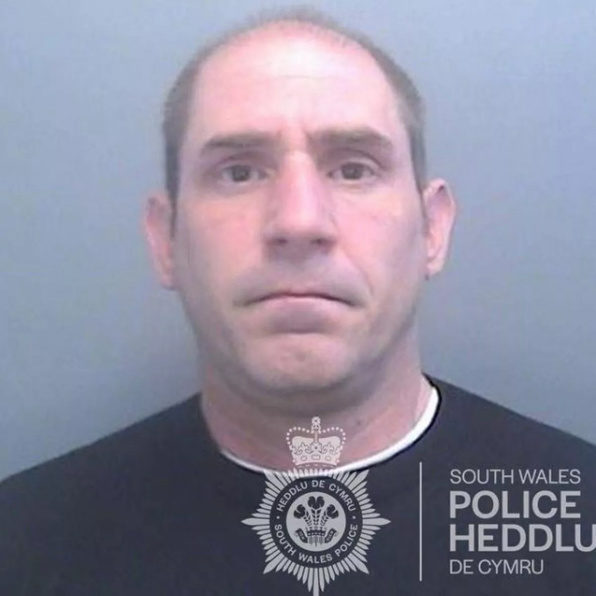 Daniel Mintons photo