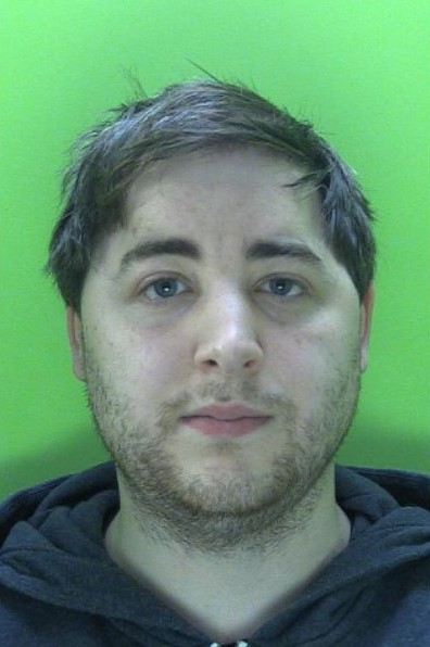 Daniel Anthonys photo