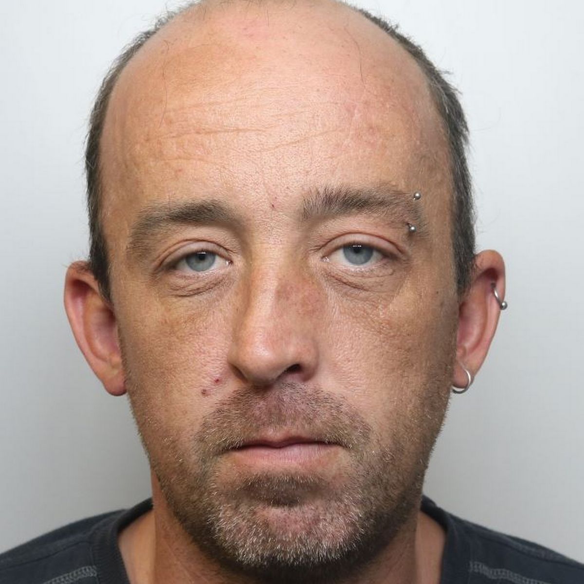 David Reynoldss photo