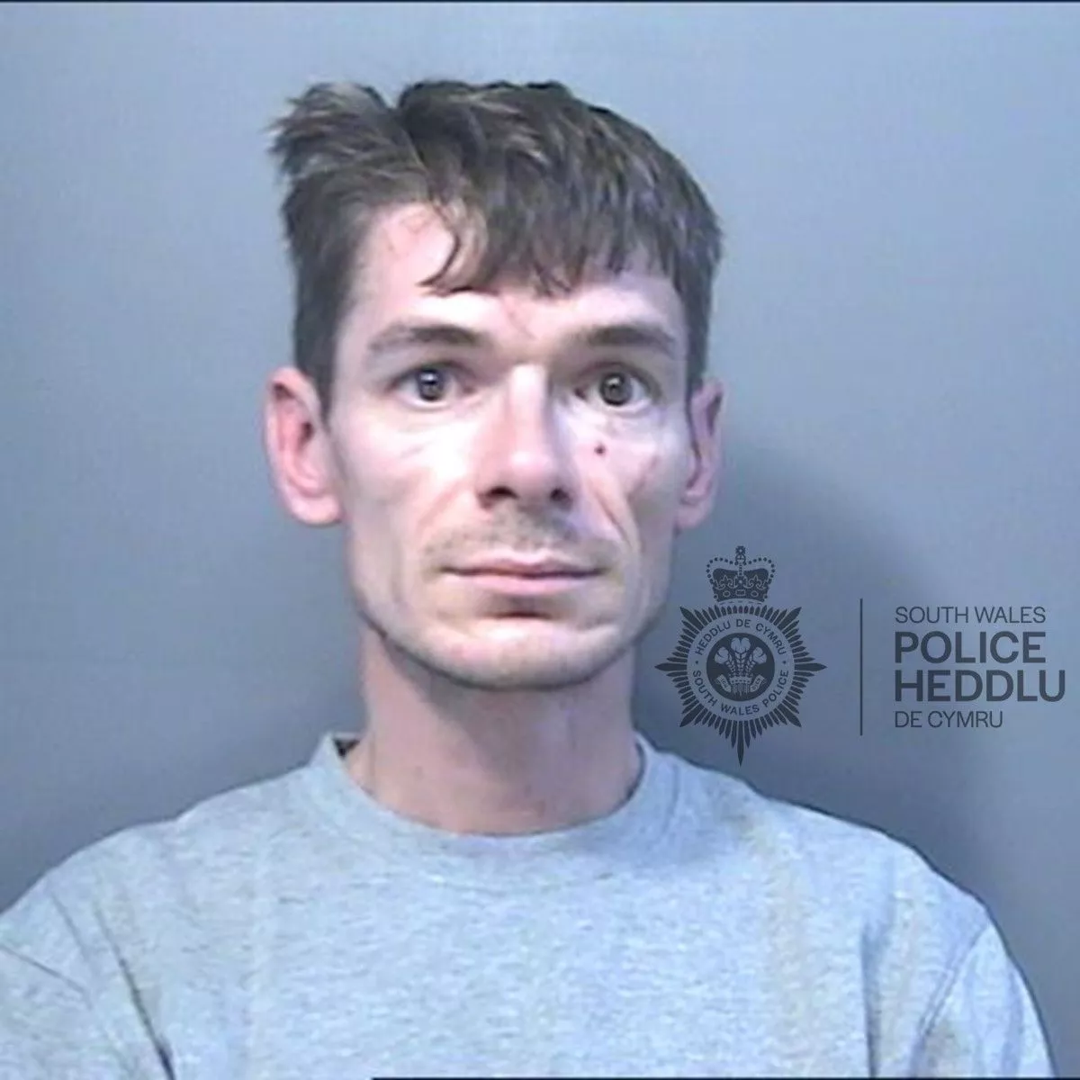James Daviess photo