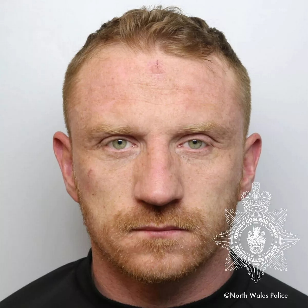 Terry Nicholass photo