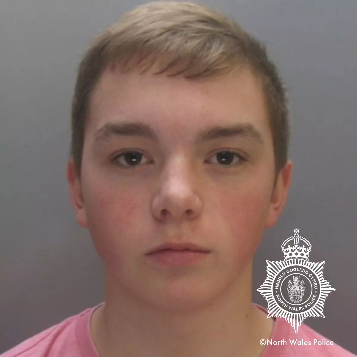 Osian Owen s photo